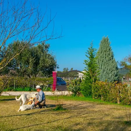 Tatil Evi Loukas