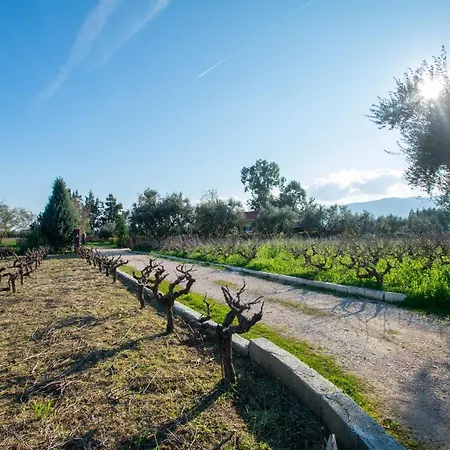Tatil Evi Loukas